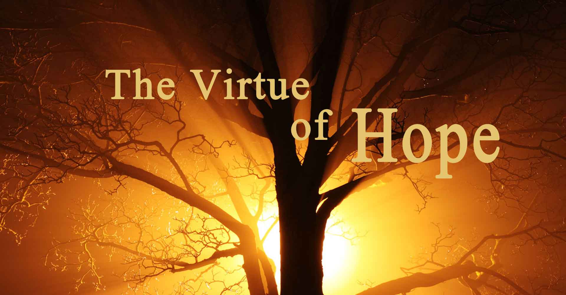 The Power of the Virtue of Hope: It's Essential — Joy In Truth